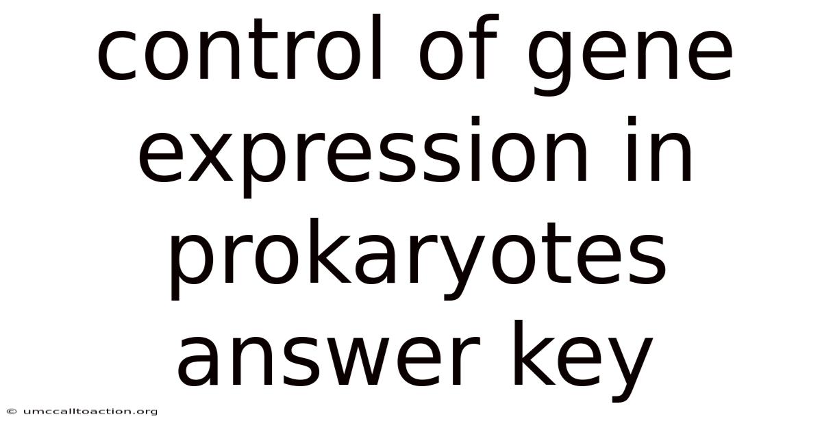 Control Of Gene Expression In Prokaryotes Answer Key