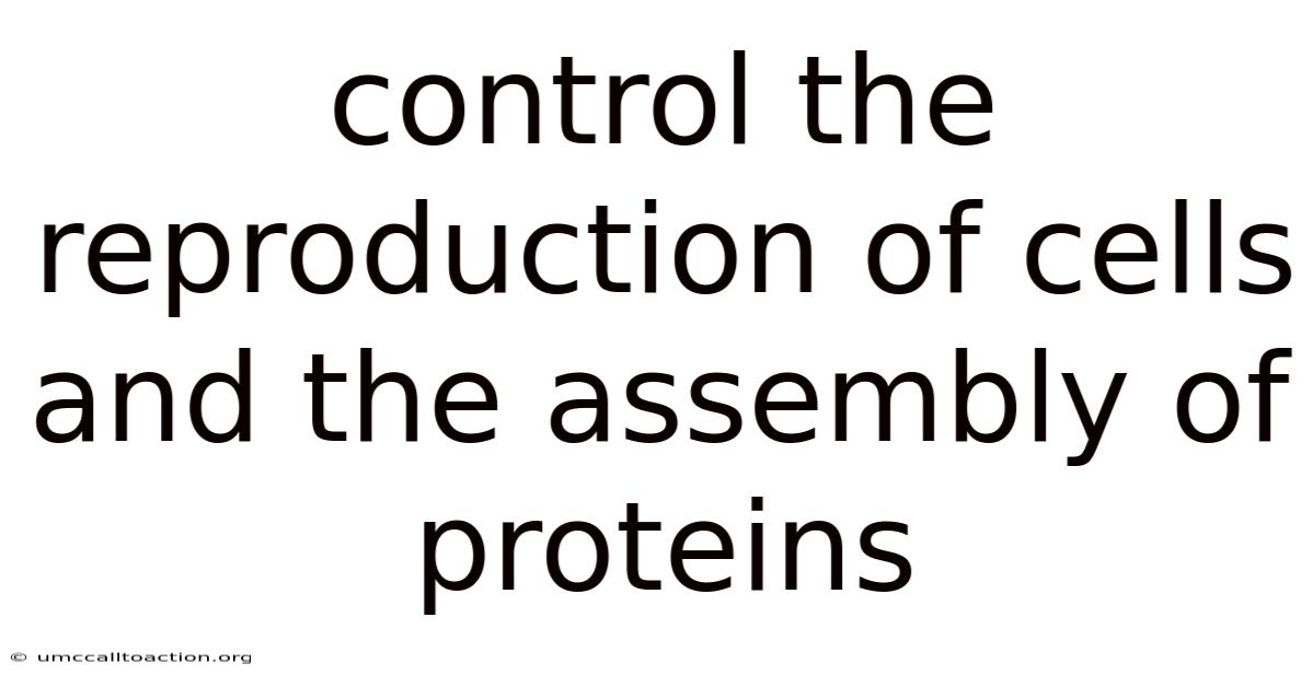 Control The Reproduction Of Cells And The Assembly Of Proteins