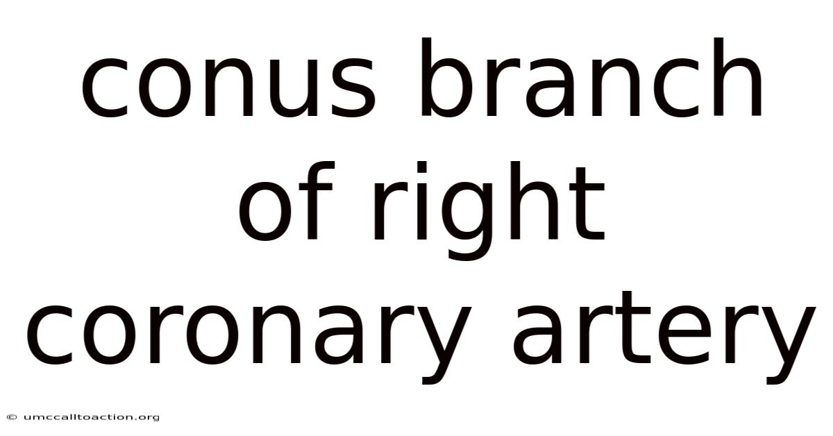 Conus Branch Of Right Coronary Artery