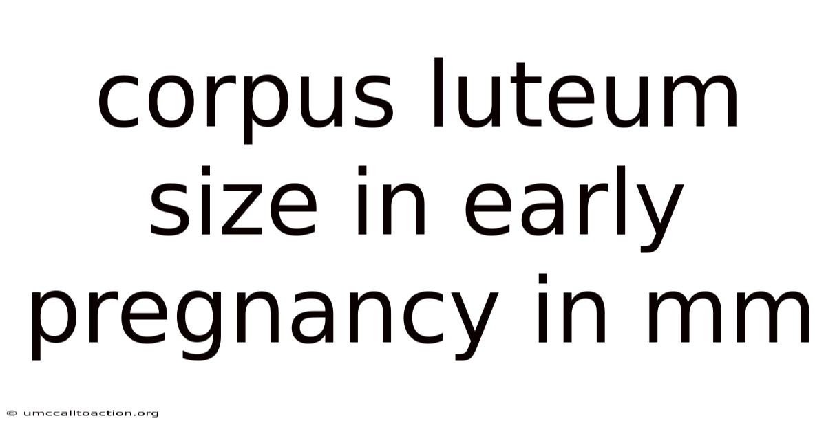 Corpus Luteum Size In Early Pregnancy In Mm