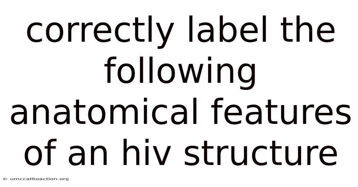 Correctly Label The Following Anatomical Features Of An Hiv Structure