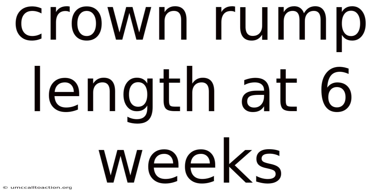 Crown Rump Length At 6 Weeks