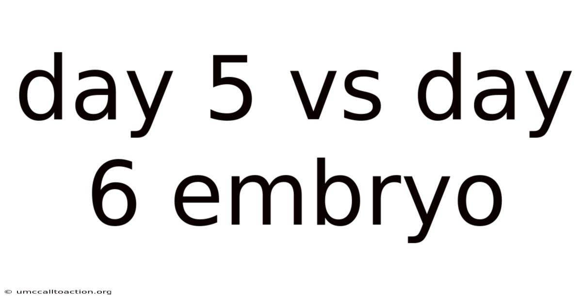 Day 5 Vs Day 6 Embryo