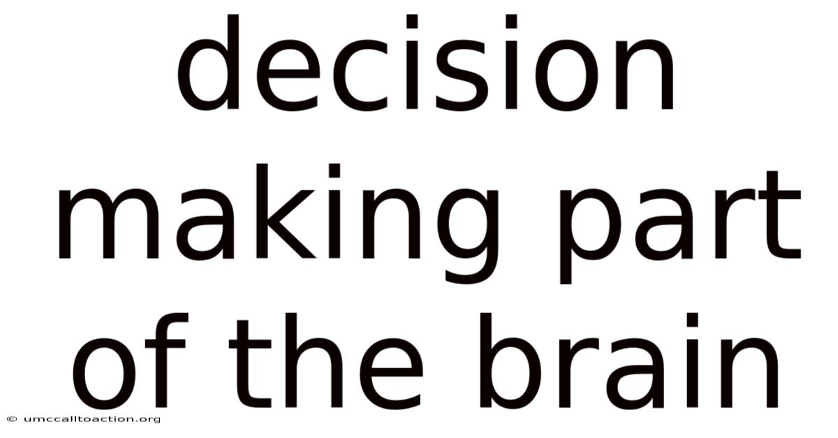 Decision Making Part Of The Brain