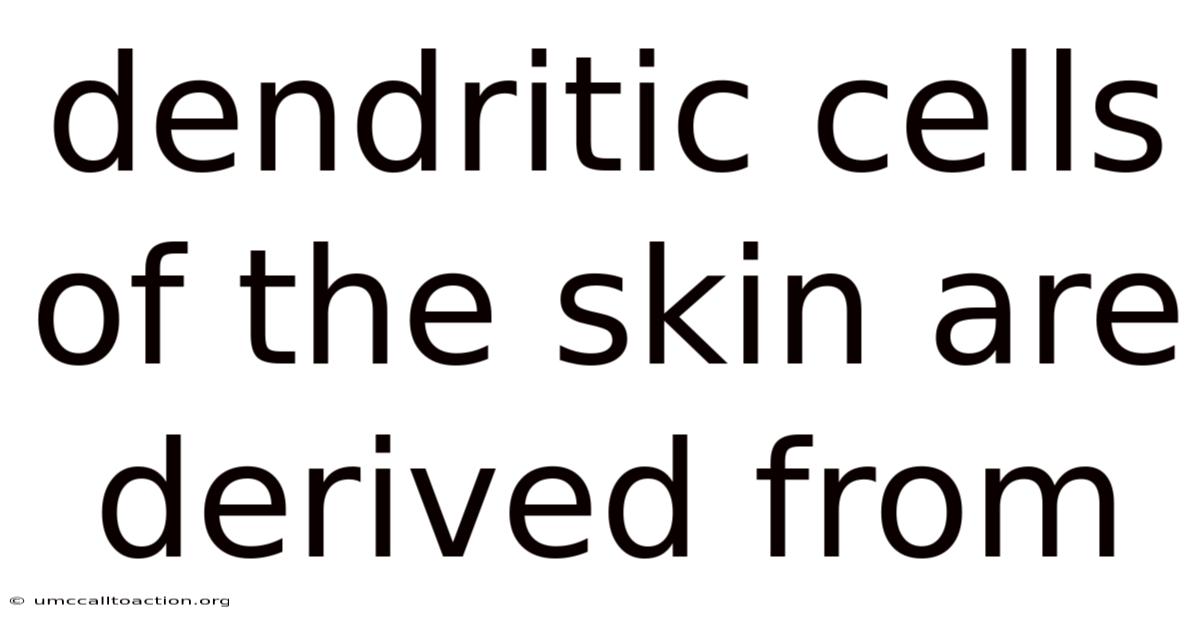 Dendritic Cells Of The Skin Are Derived From