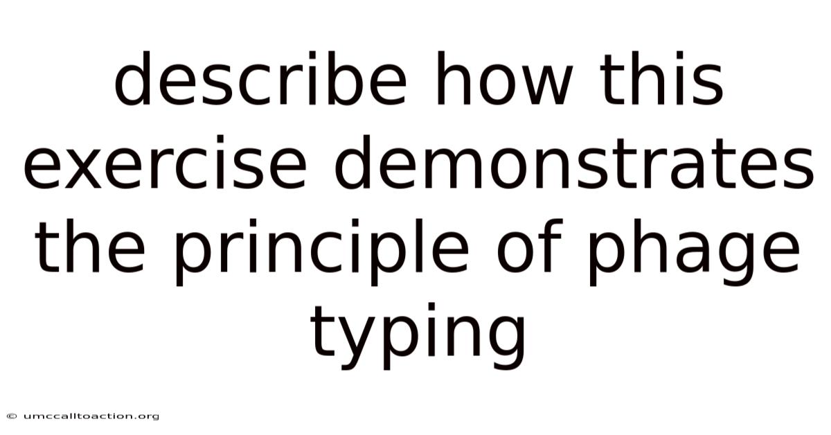 Describe How This Exercise Demonstrates The Principle Of Phage Typing