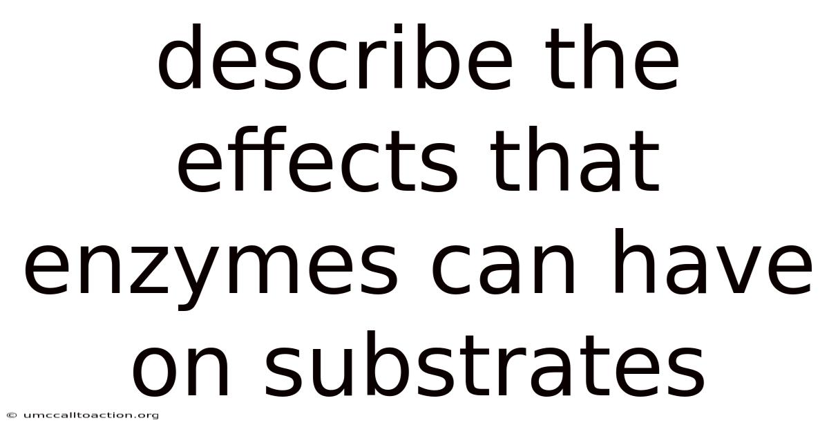 Describe The Effects That Enzymes Can Have On Substrates
