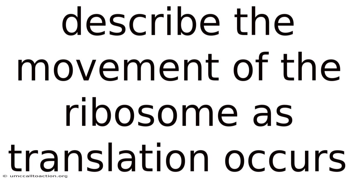 Describe The Movement Of The Ribosome As Translation Occurs