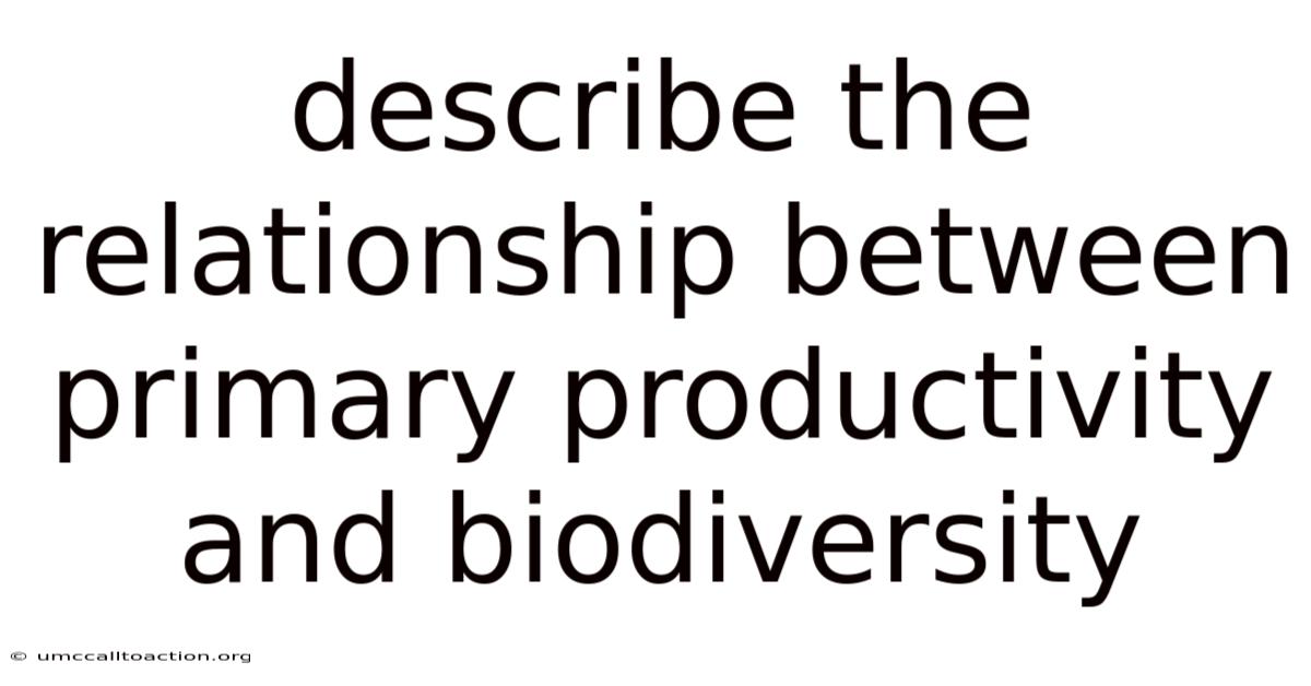 Describe The Relationship Between Primary Productivity And Biodiversity
