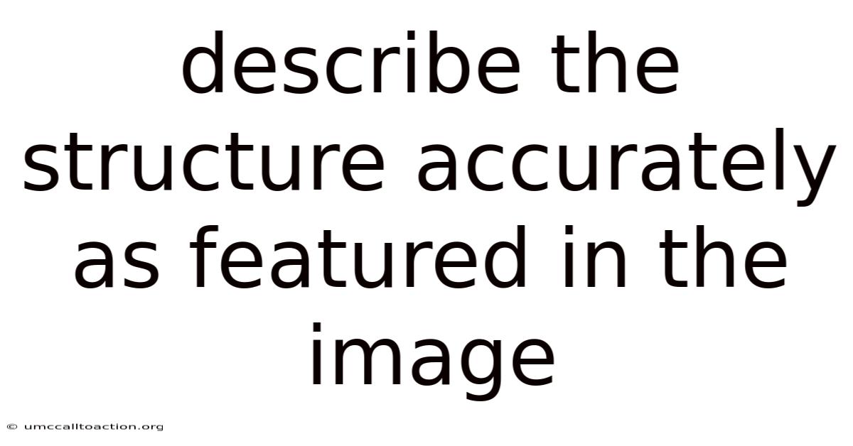 Describe The Structure Accurately As Featured In The Image