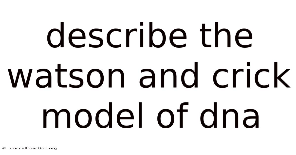Describe The Watson And Crick Model Of Dna