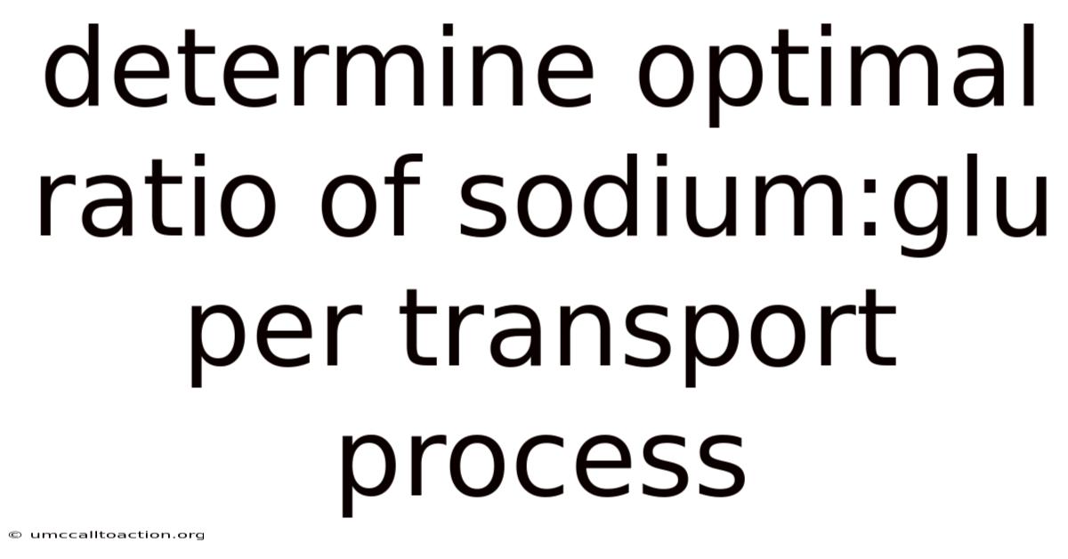 Determine Optimal Ratio Of Sodium:glu Per Transport Process