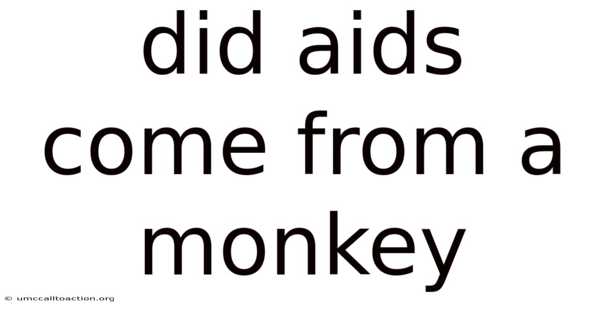 Did Aids Come From A Monkey