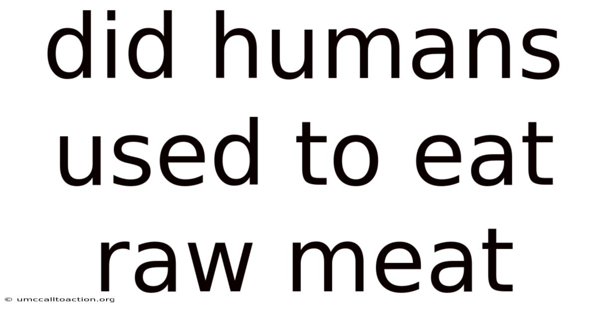 Did Humans Used To Eat Raw Meat