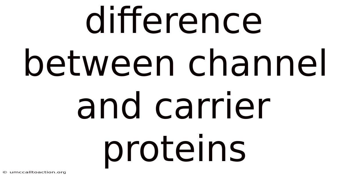 Difference Between Channel And Carrier Proteins