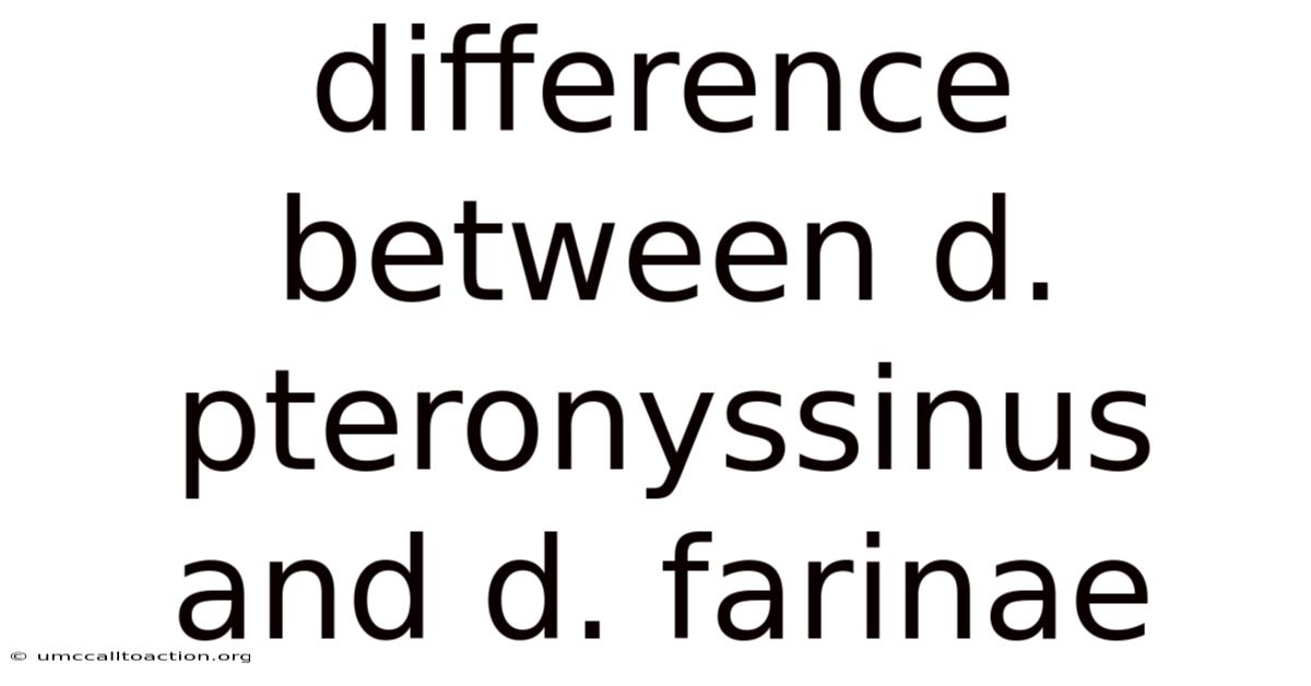 Difference Between D. Pteronyssinus And D. Farinae