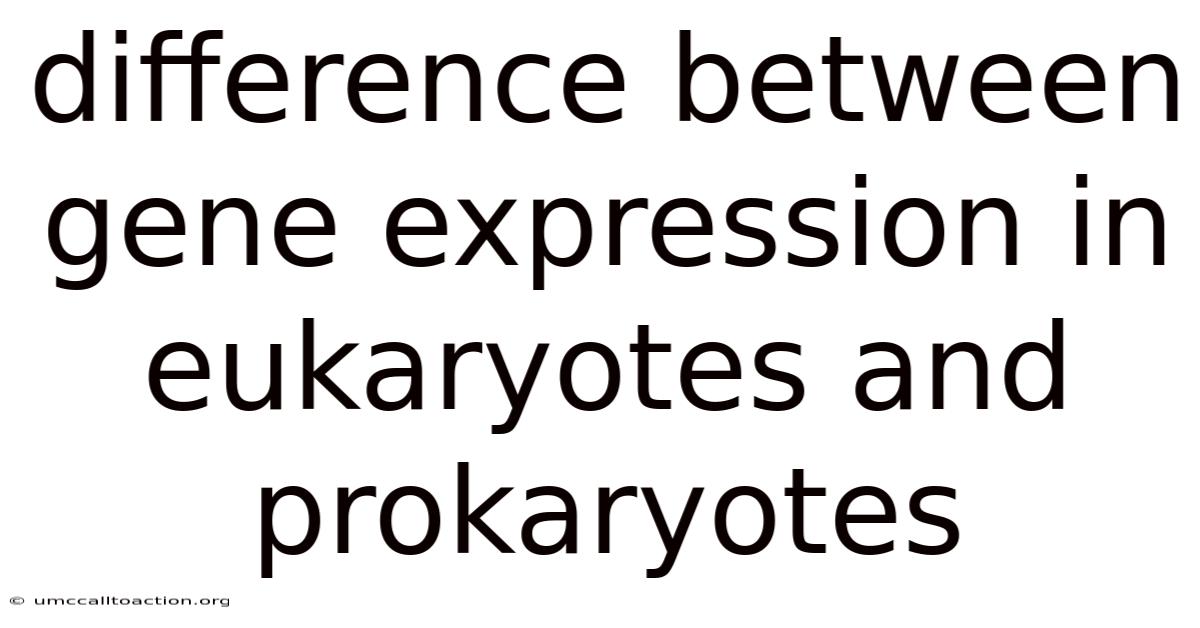 Difference Between Gene Expression In Eukaryotes And Prokaryotes