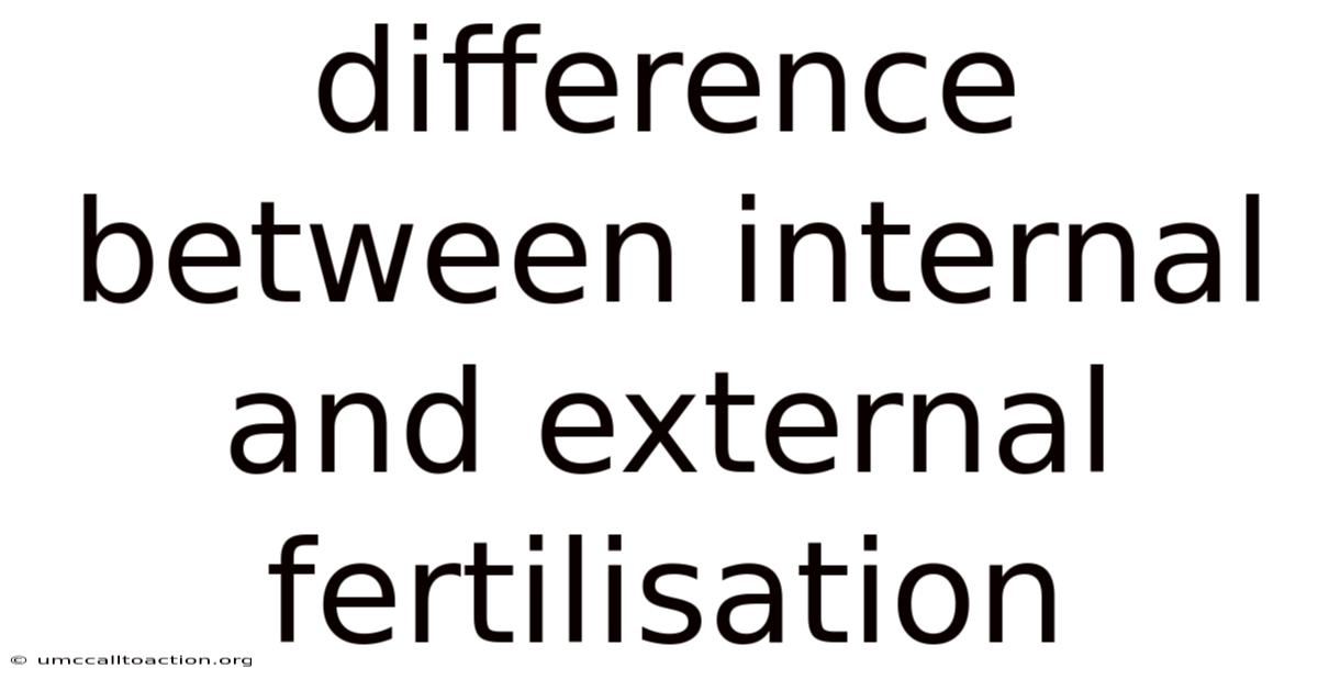 Difference Between Internal And External Fertilisation