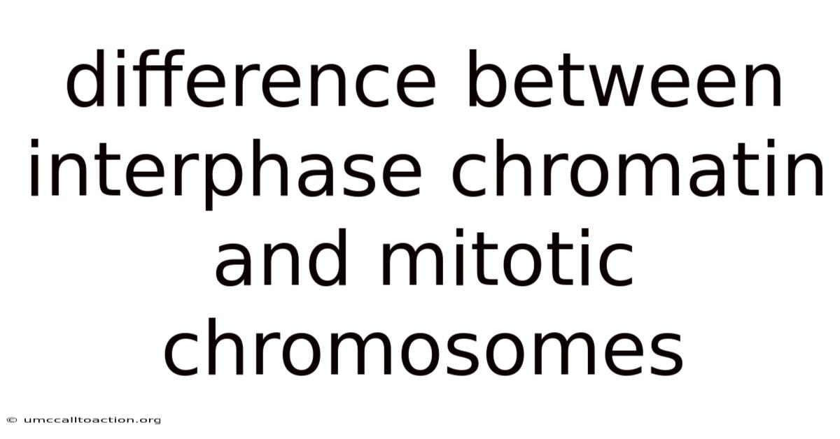 Difference Between Interphase Chromatin And Mitotic Chromosomes