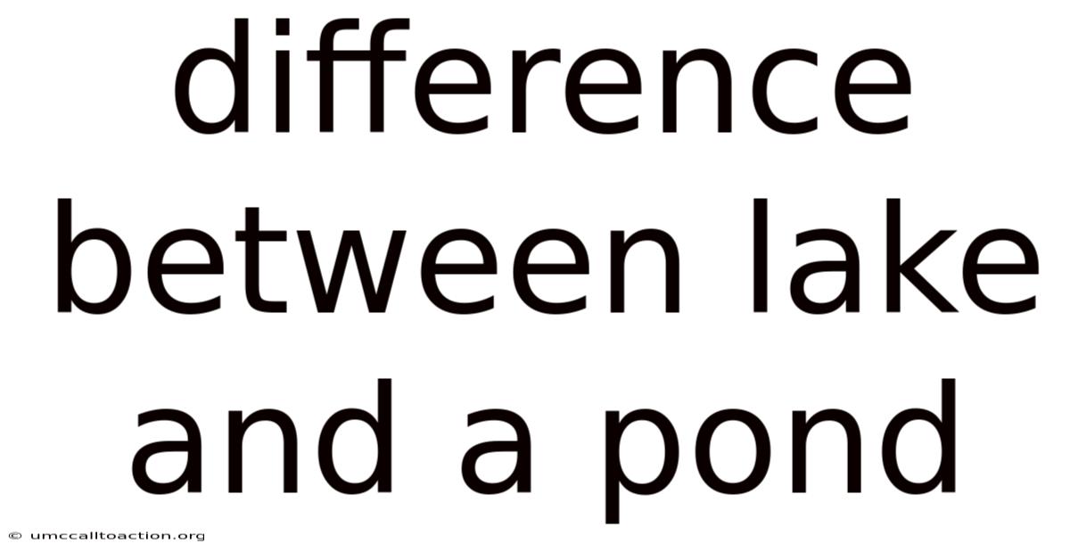Difference Between Lake And A Pond