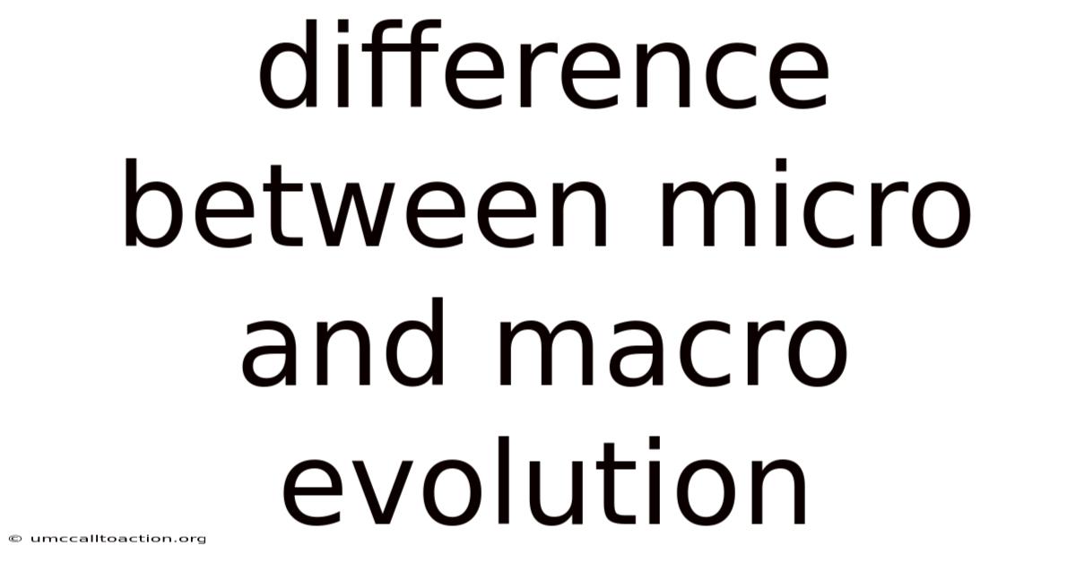 Difference Between Micro And Macro Evolution