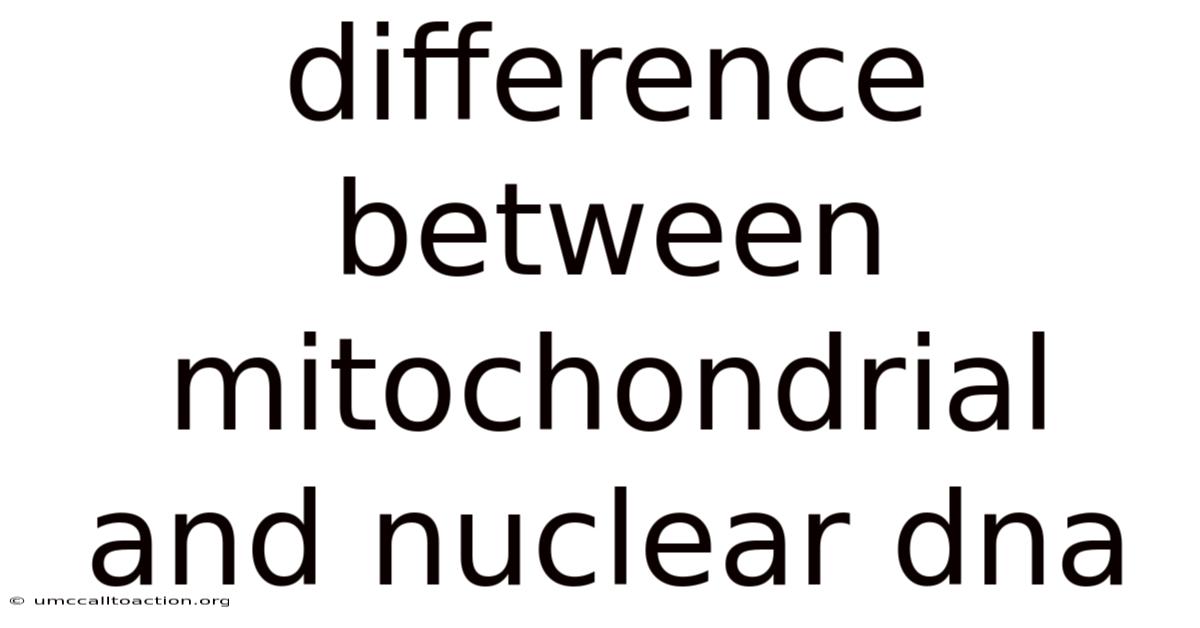 Difference Between Mitochondrial And Nuclear Dna