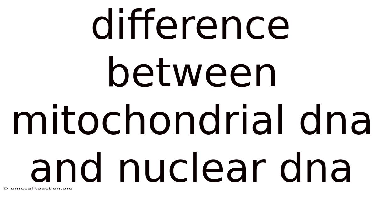 Difference Between Mitochondrial Dna And Nuclear Dna