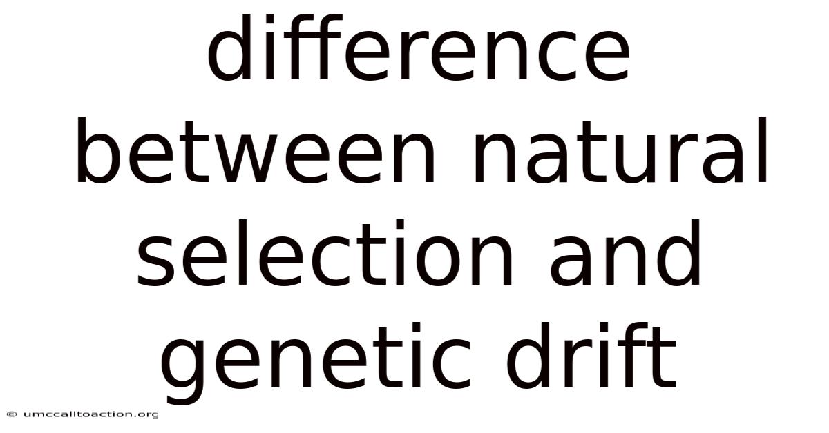 Difference Between Natural Selection And Genetic Drift