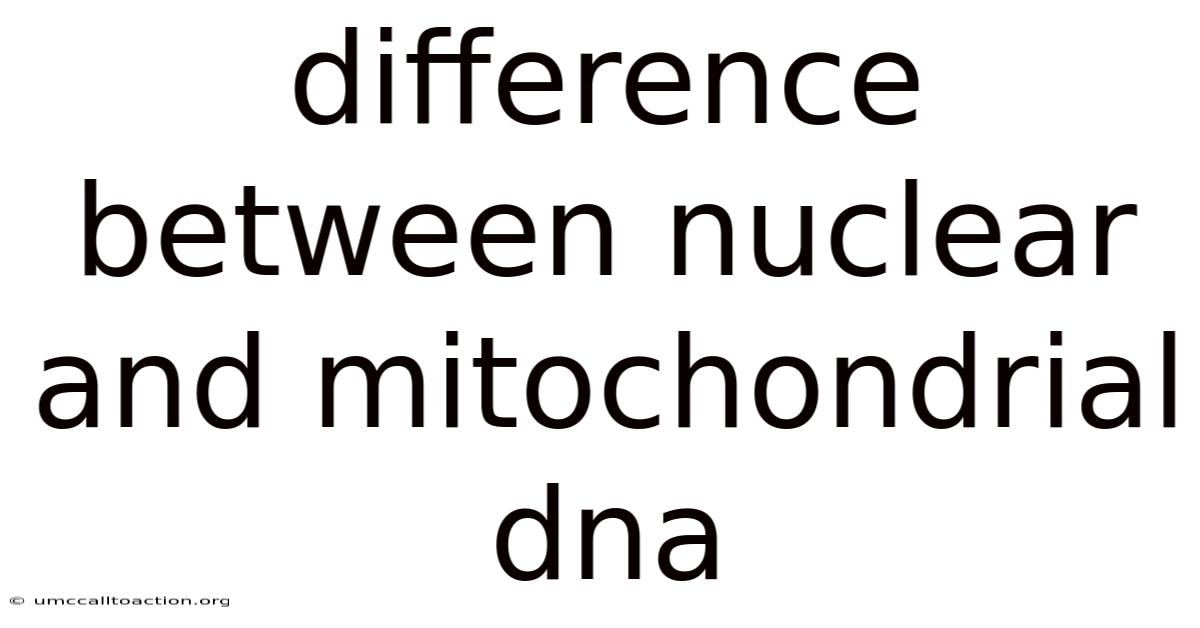 Difference Between Nuclear And Mitochondrial Dna
