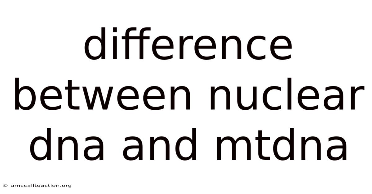 Difference Between Nuclear Dna And Mtdna