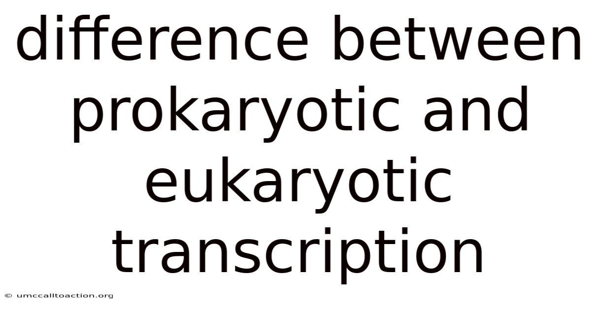 Difference Between Prokaryotic And Eukaryotic Transcription