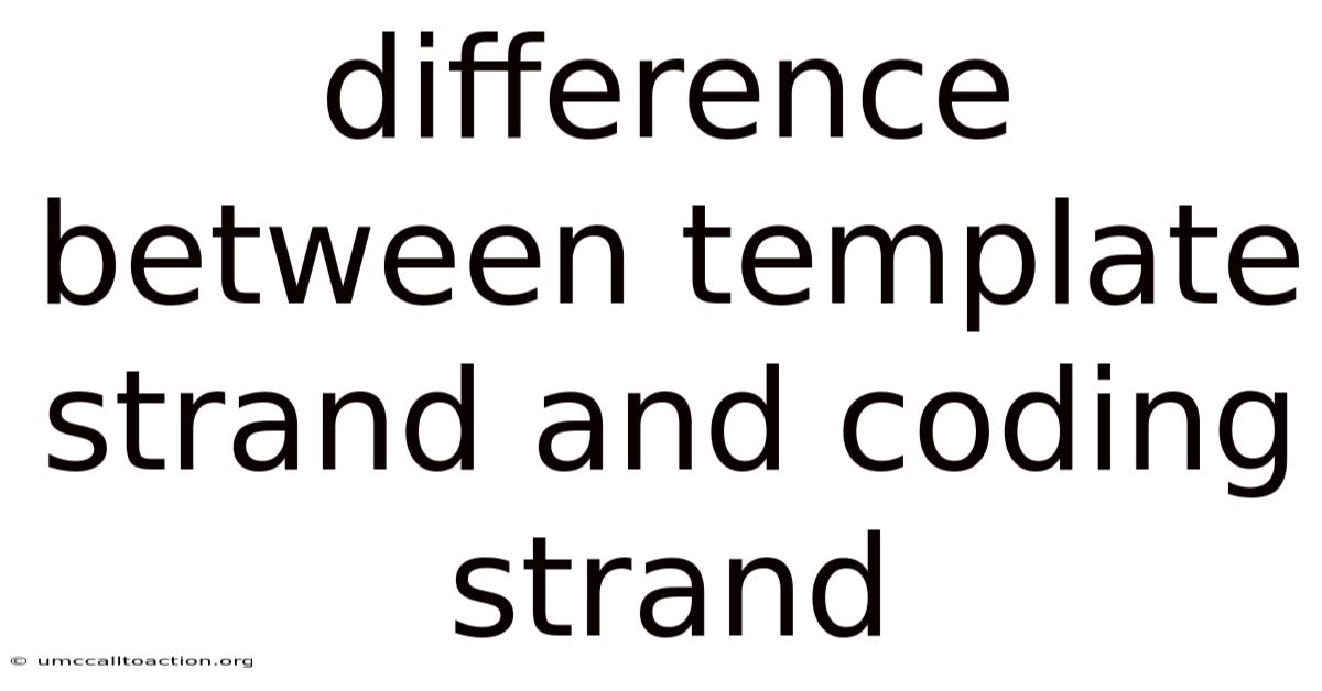 Difference Between Template Strand And Coding Strand