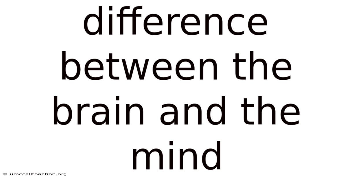 Difference Between The Brain And The Mind
