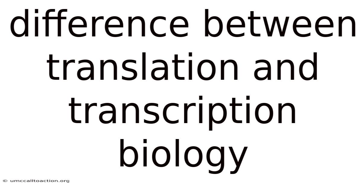 Difference Between Translation And Transcription Biology