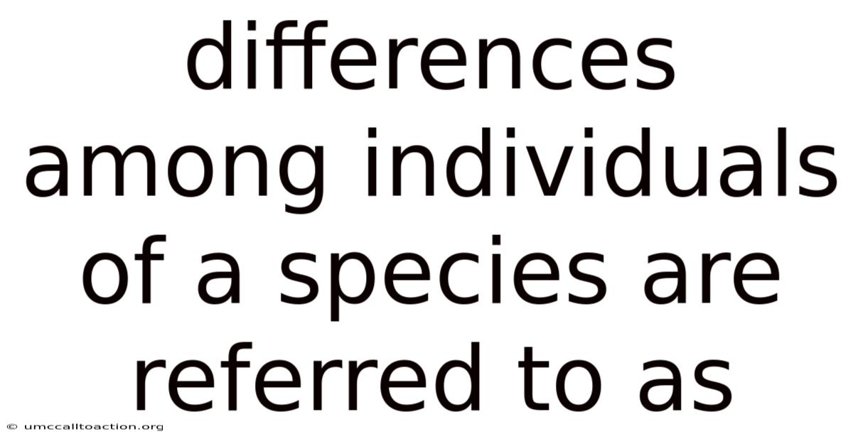 Differences Among Individuals Of A Species Are Referred To As