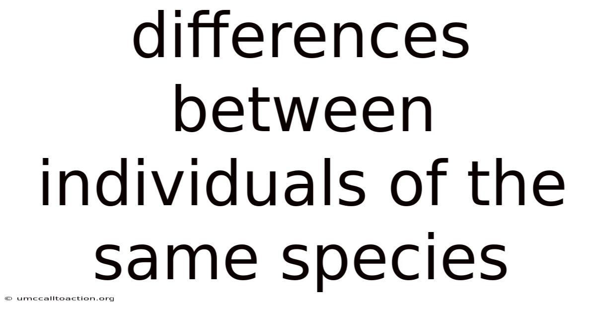 Differences Between Individuals Of The Same Species