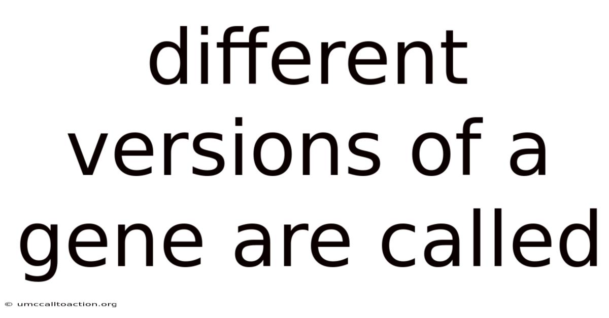 Different Versions Of A Gene Are Called