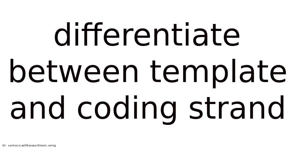Differentiate Between Template And Coding Strand