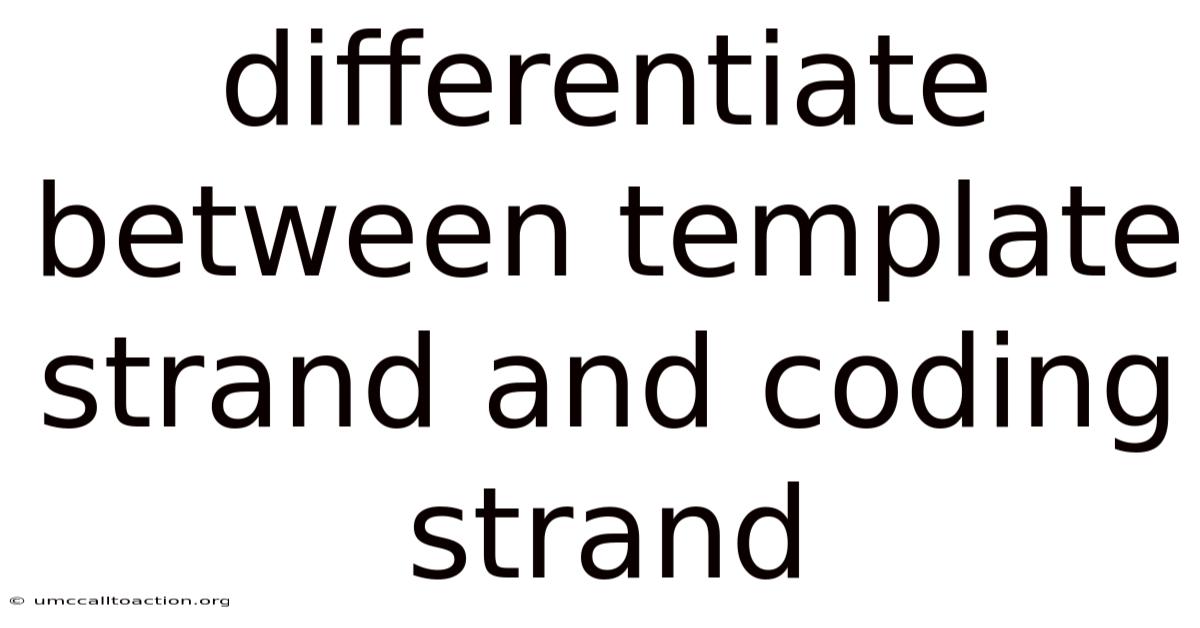 Differentiate Between Template Strand And Coding Strand