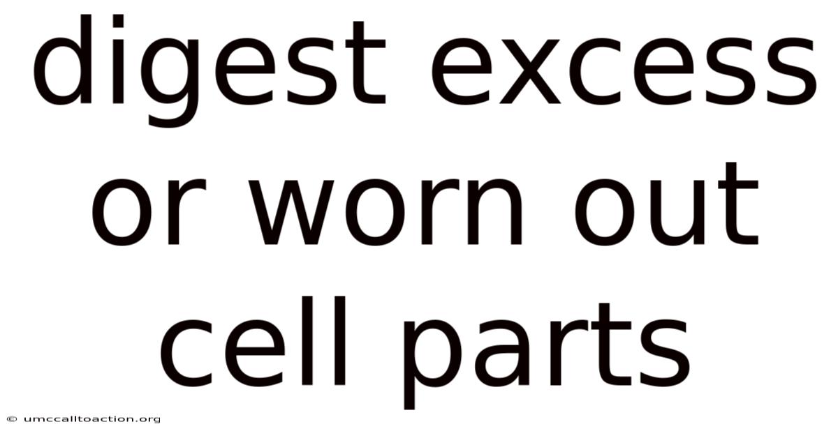 Digest Excess Or Worn Out Cell Parts