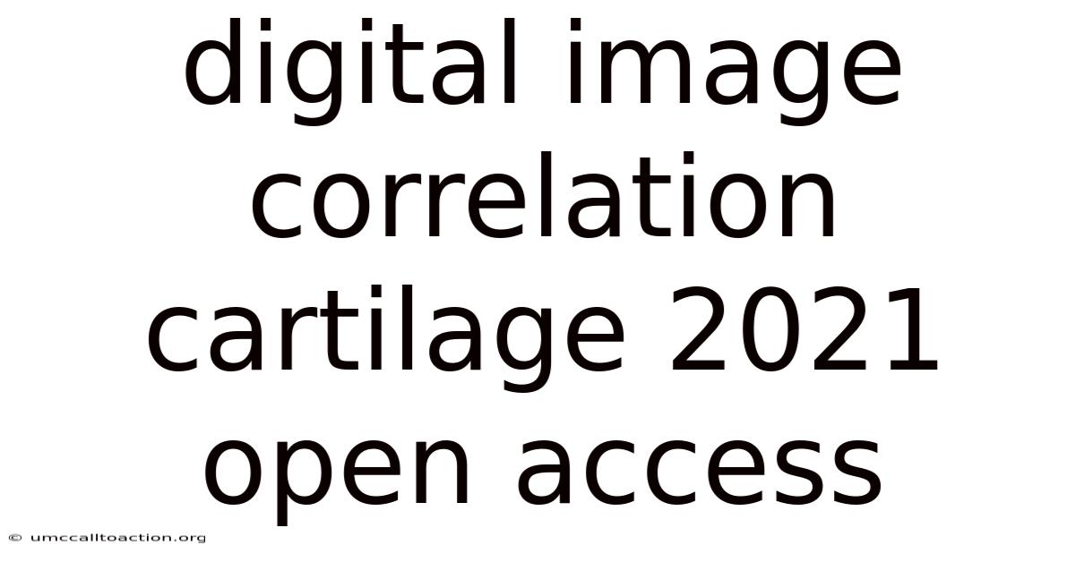 Digital Image Correlation Cartilage 2021 Open Access