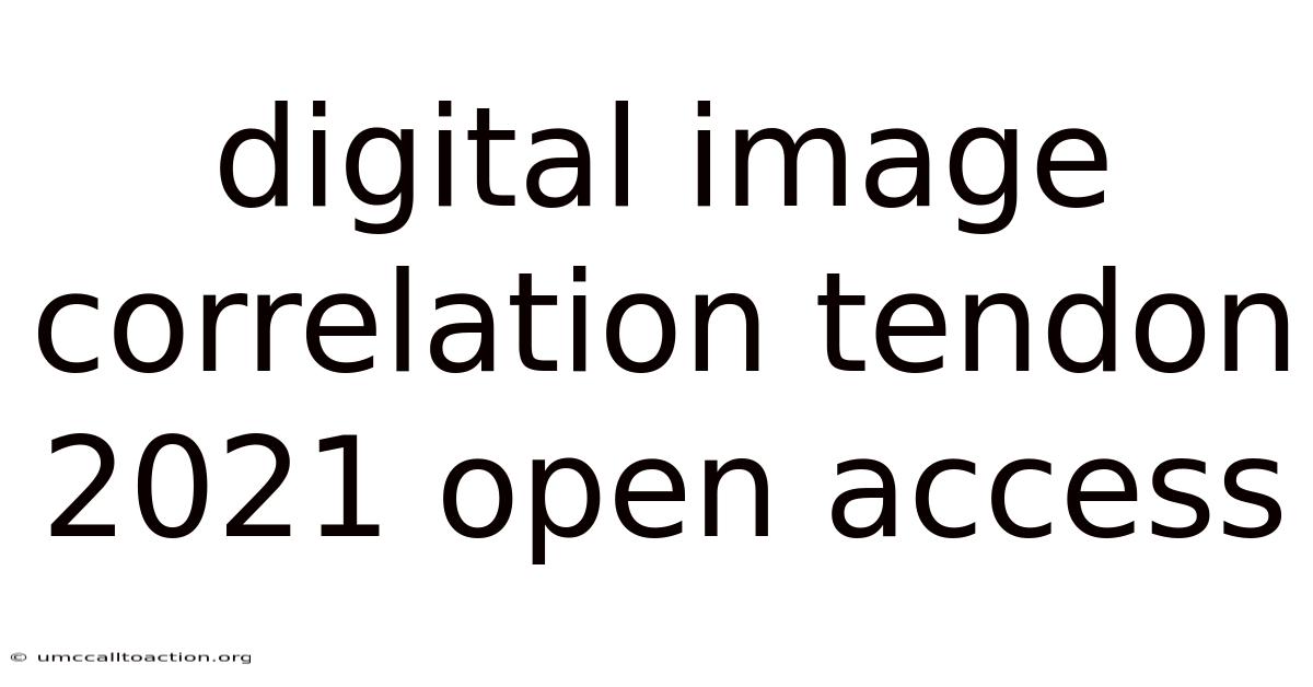 Digital Image Correlation Tendon 2021 Open Access
