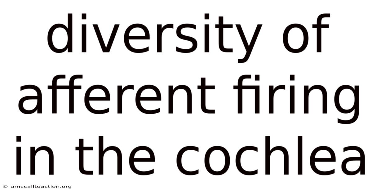 Diversity Of Afferent Firing In The Cochlea