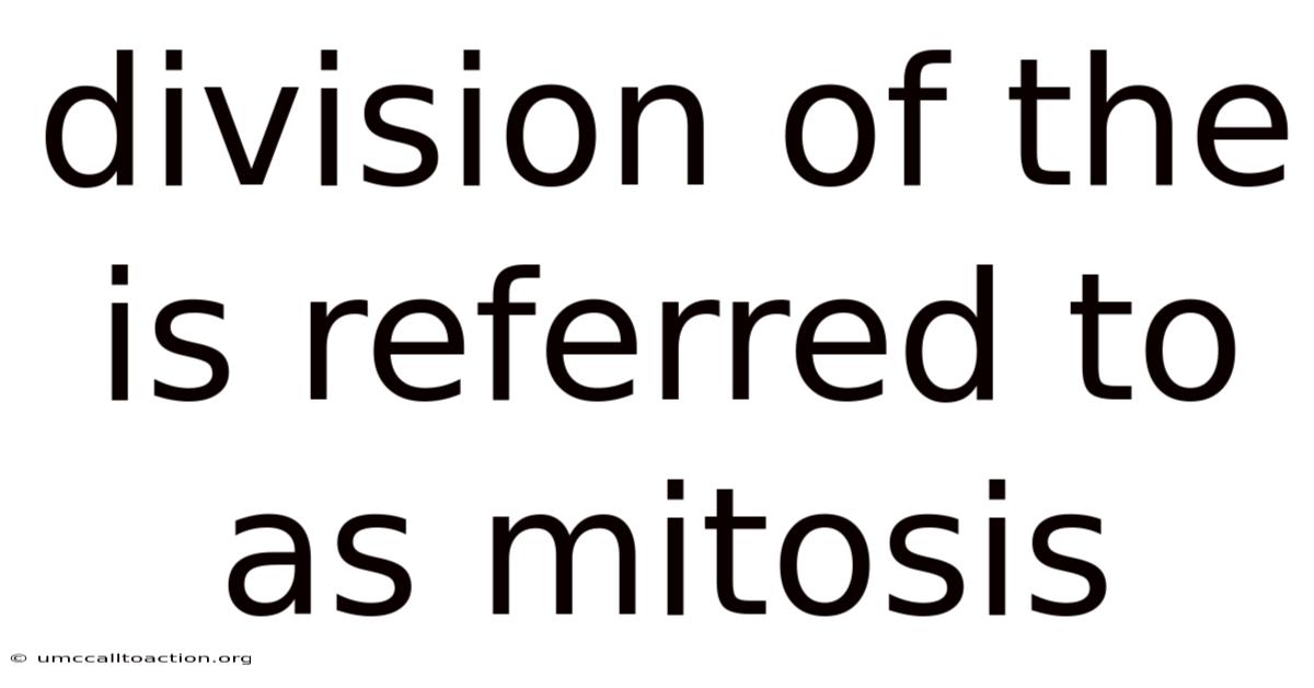 Division Of The Is Referred To As Mitosis