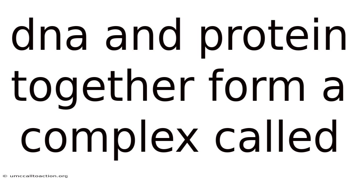 Dna And Protein Together Form A Complex Called