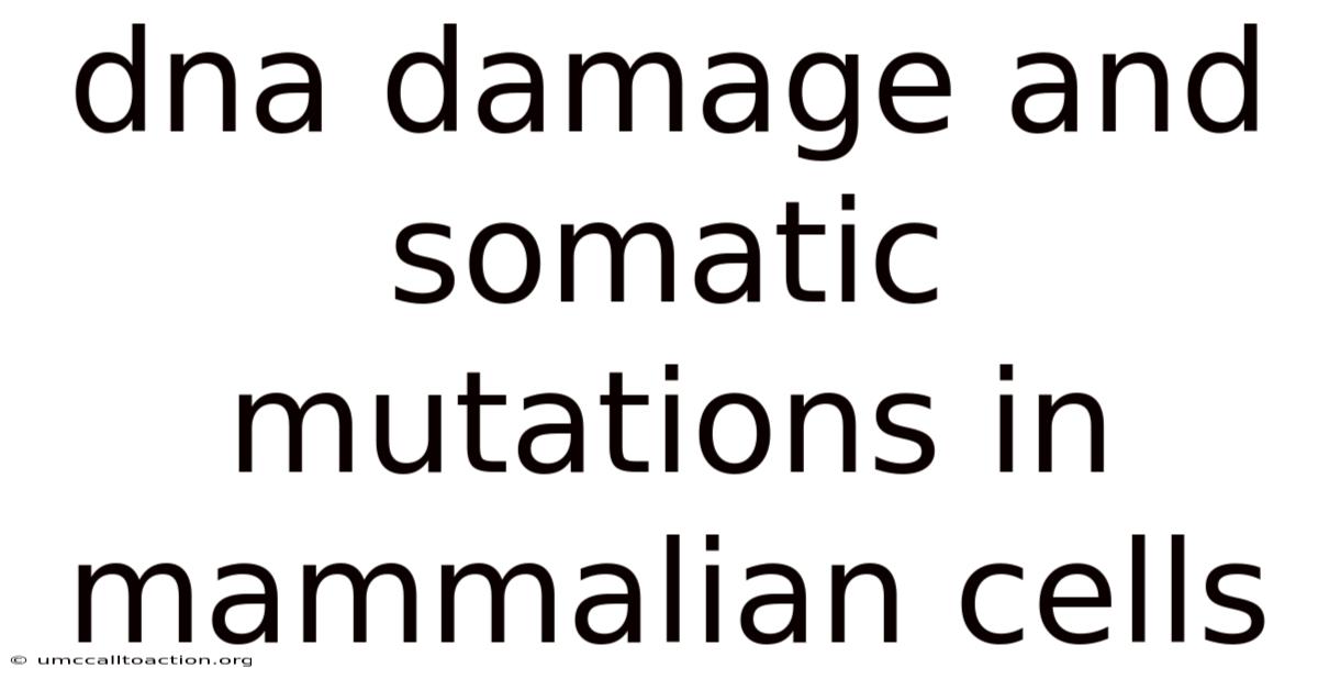 Dna Damage And Somatic Mutations In Mammalian Cells