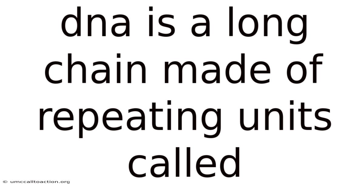 Dna Is A Long Chain Made Of Repeating Units Called