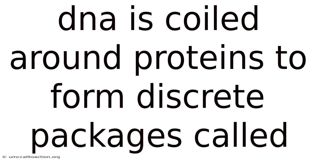 Dna Is Coiled Around Proteins To Form Discrete Packages Called