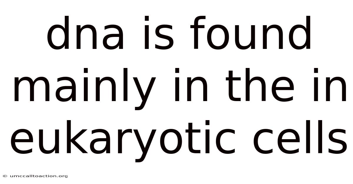 Dna Is Found Mainly In The In Eukaryotic Cells