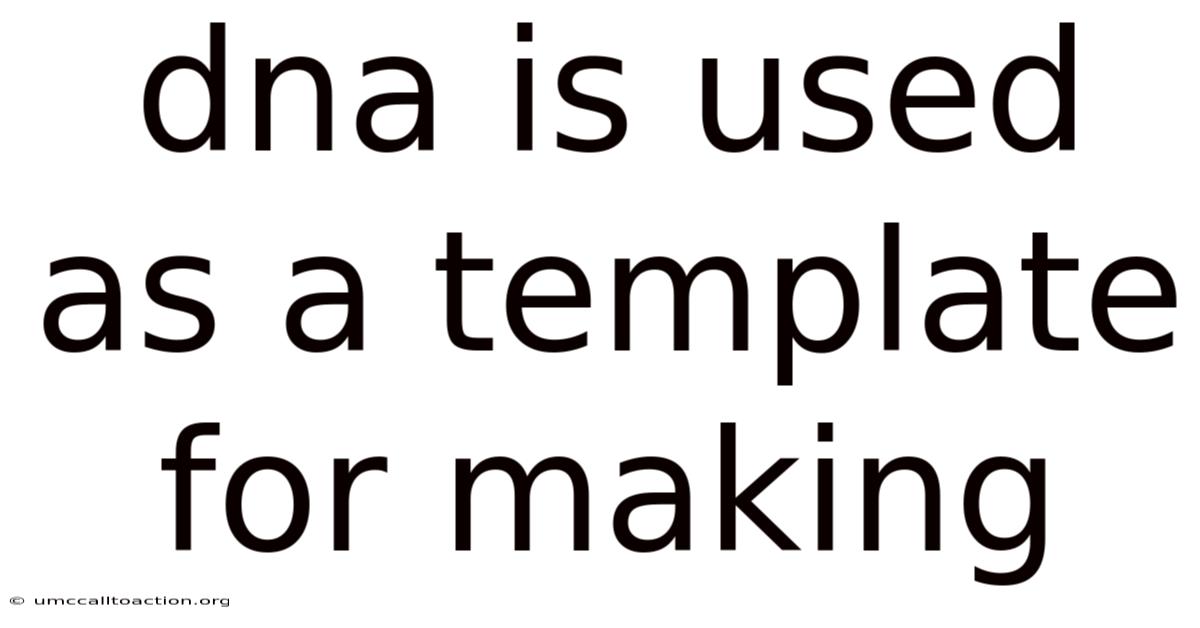 Dna Is Used As A Template For Making